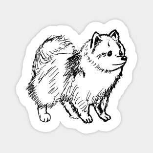 Hand Drawn Pomeranian Sketch Magnet