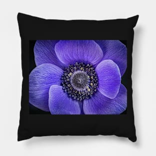 Blue Poppy Anemone Pillow