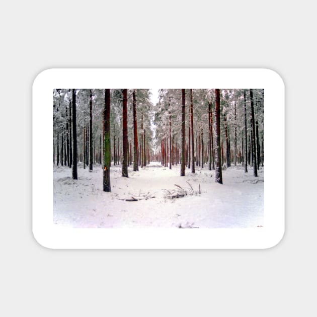 Red Trees in the Winter Forest Magnet by BrianPShaw