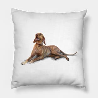 The Hungarian Vizsla Pillow