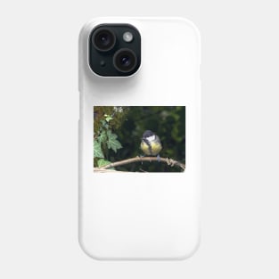 LE PANASONIC FZ 200 PAR OKAIO CRÉATION Phone Case