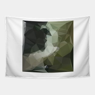 Dark Slate Gray Abstract Low Polygon Background Tapestry