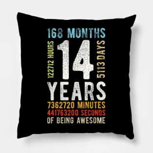 14Th Birthday 14 Years Old 168 Months Pillow