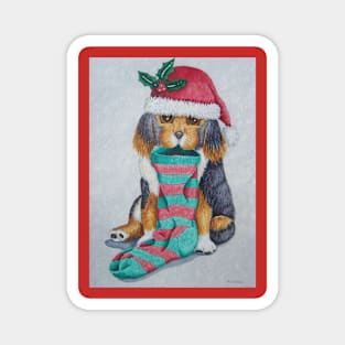 cute black and brown puppy with christmas stocking Magnet