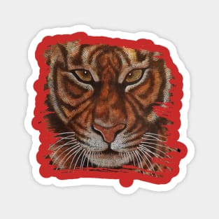 Tiger face Magnet