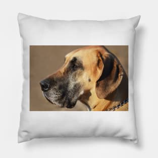 Nobility Pillow