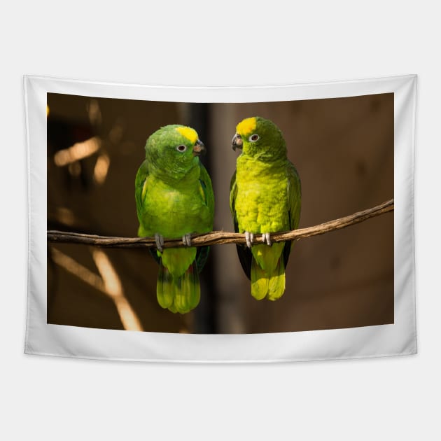 yellow-crowned parrot Tapestry by kawaii_shop