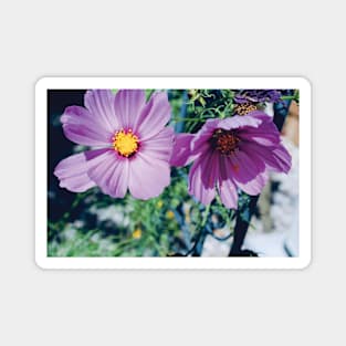 Garden Flowers Magnet