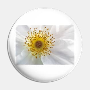 White Rose Pin