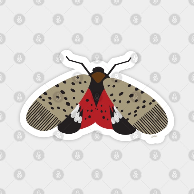 Lantern Fly Magnet by CKline