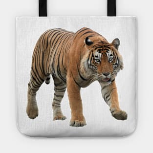 Bengal Tiger Tote