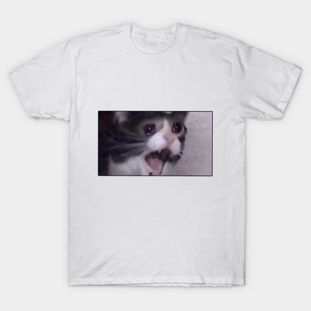 Sad Cat - Sad - T-Shirt | TeePublic