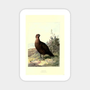 Grouse Magnet