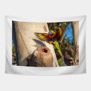 Happy Landings - Rainbow Lorikeet, Bribie Island Tapestry