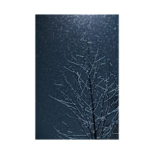 Night Snow T-Shirt