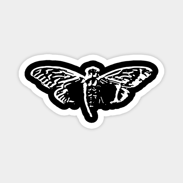 Cicada 3301 Magnet by The Moon Child