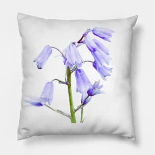 English Bluebell Flowers Pillow