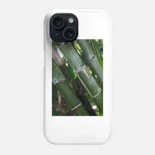 A Bamboo Experience © Phone Case