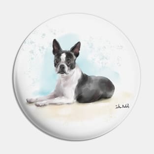 Watercolor Sketch of a Black and White Boston Terrier Lying Down Pin