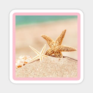 Starfish and seashell Magnet