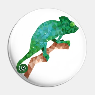 The chameleon constellation Pin