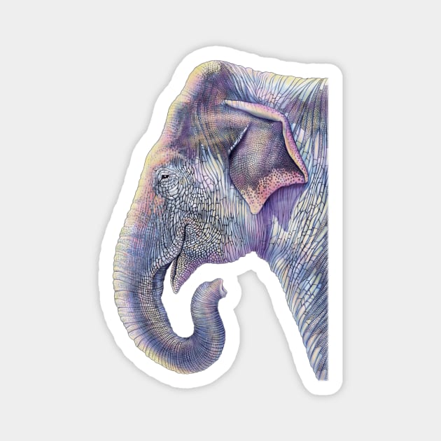 Elephant Magnet by Tim Jeffs Art