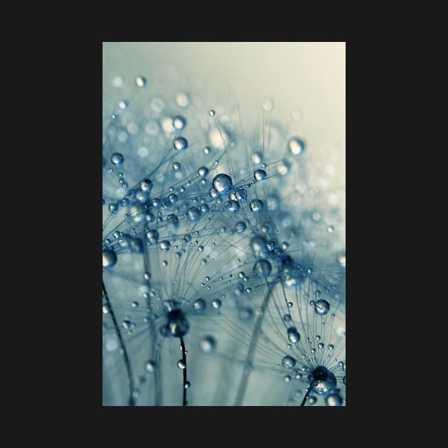 Dandy Blue Shower by SharonJ