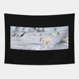 Pola bear cubs Tapestry