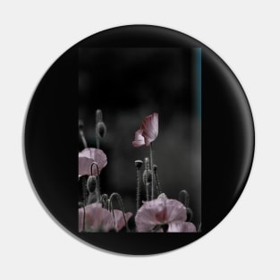 Poppies Pin