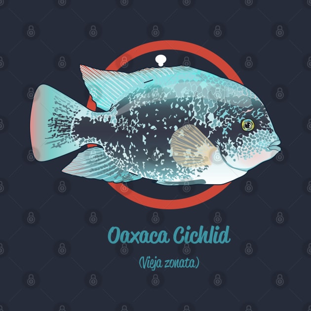 Oaxaca Cichlid by Reefhorse