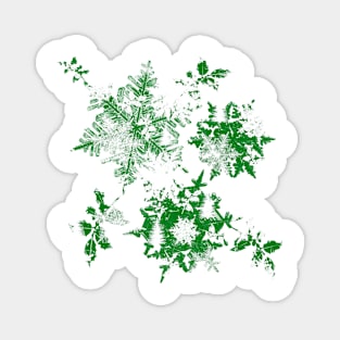 Snowflakes christmas trees and holly green Magnet