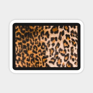 Tiger skin Magnet