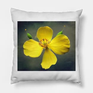 Wood Poppy In Yellow Pillow