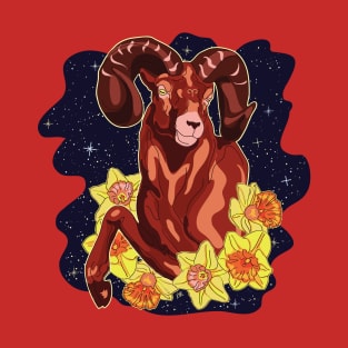 Cosmic Aries T-Shirt