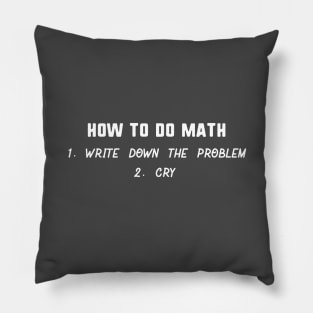 How to do math 1 write dow the problem 2 cry Pillow