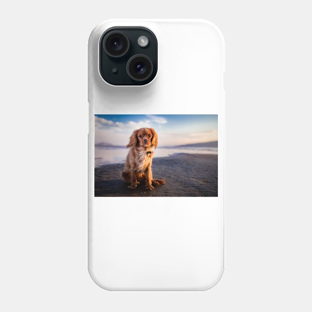 Cavalier King Charles Spaniel Phone Case by kawaii_shop