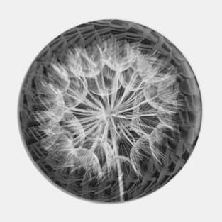 The Flower in White / Swiss Artwork Photography Pin