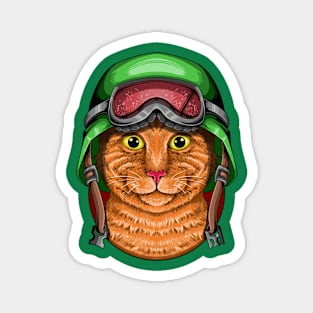 Helmet cats Magnet