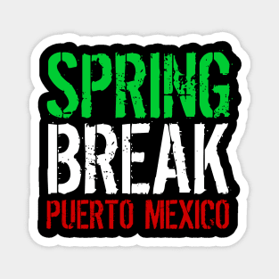 Spring Break Puerto Mexico Magnet