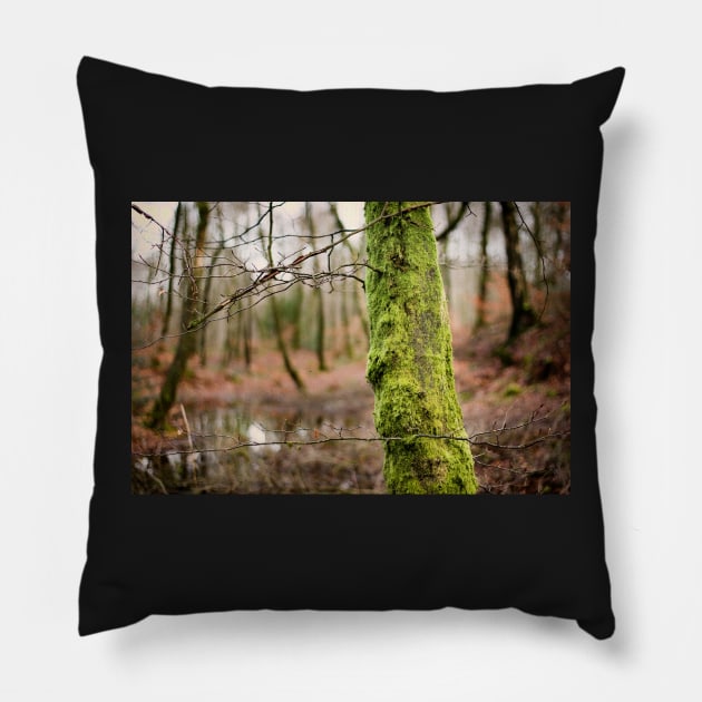 Moss Green Pillow by heidiannemorris
