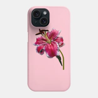 Big Petaled Pink and White Lily Phone Case