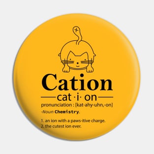 Cation Gift Funny Cat Pin