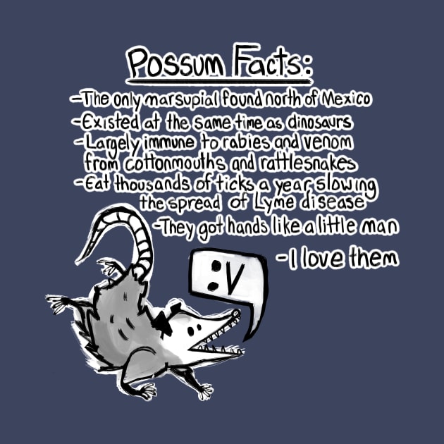 Possum facts by Elliot HT Art