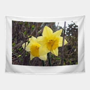 Yellow Daffodils Tapestry