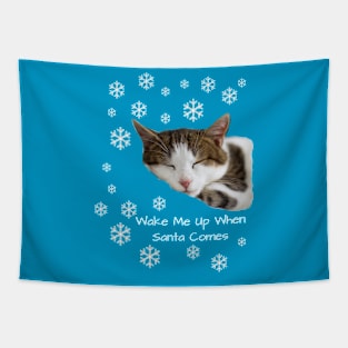 Cute Sleeping Cat Santa Christmas Tapestry