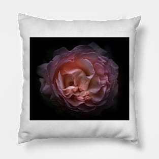 Backyard Flowers No 105 Color Version Pillow