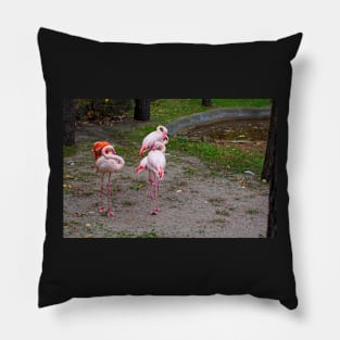 Pink and red flamingo Pillow