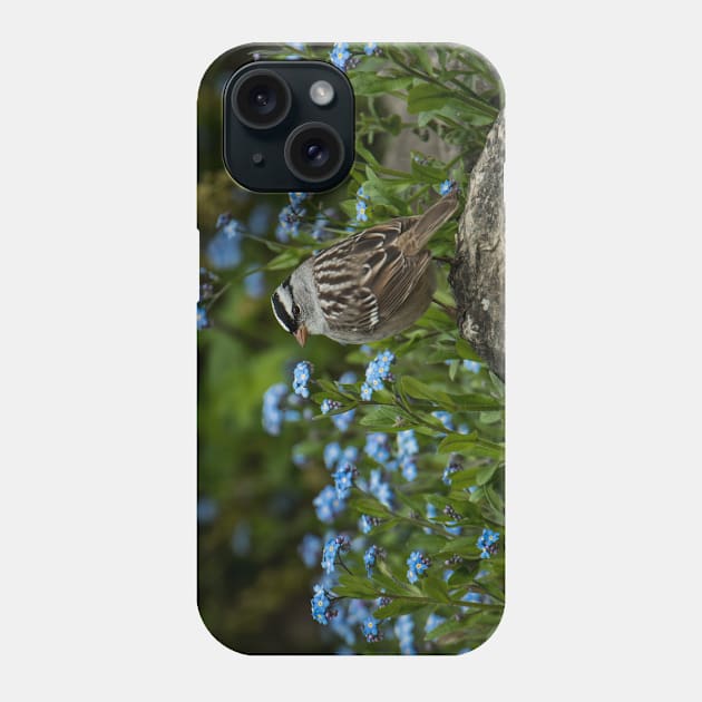 White Crowned Sparrow Phone Case by jaydee1400