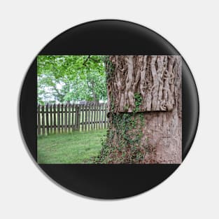 A tree and a fence Pin