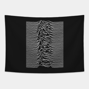 Unknown Pleasures  [D01] Tapestry
